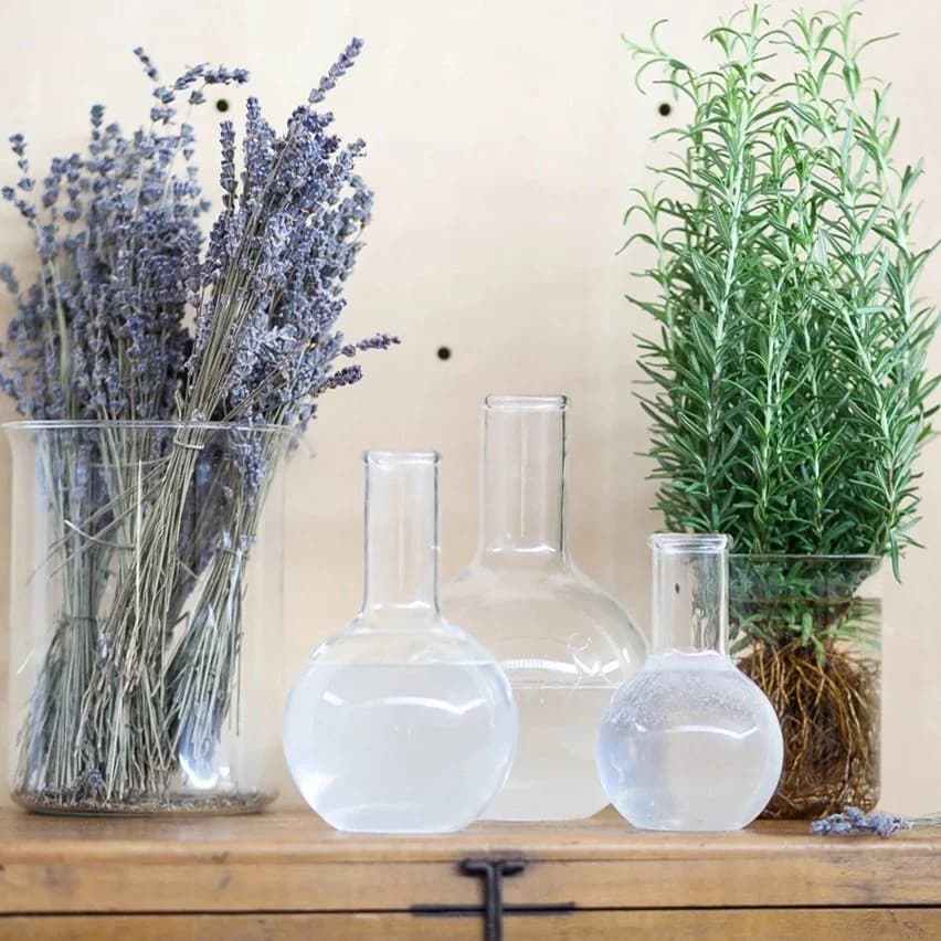 Botanical scalp ritual in progress at Curjo Hair, low-tox treatment care