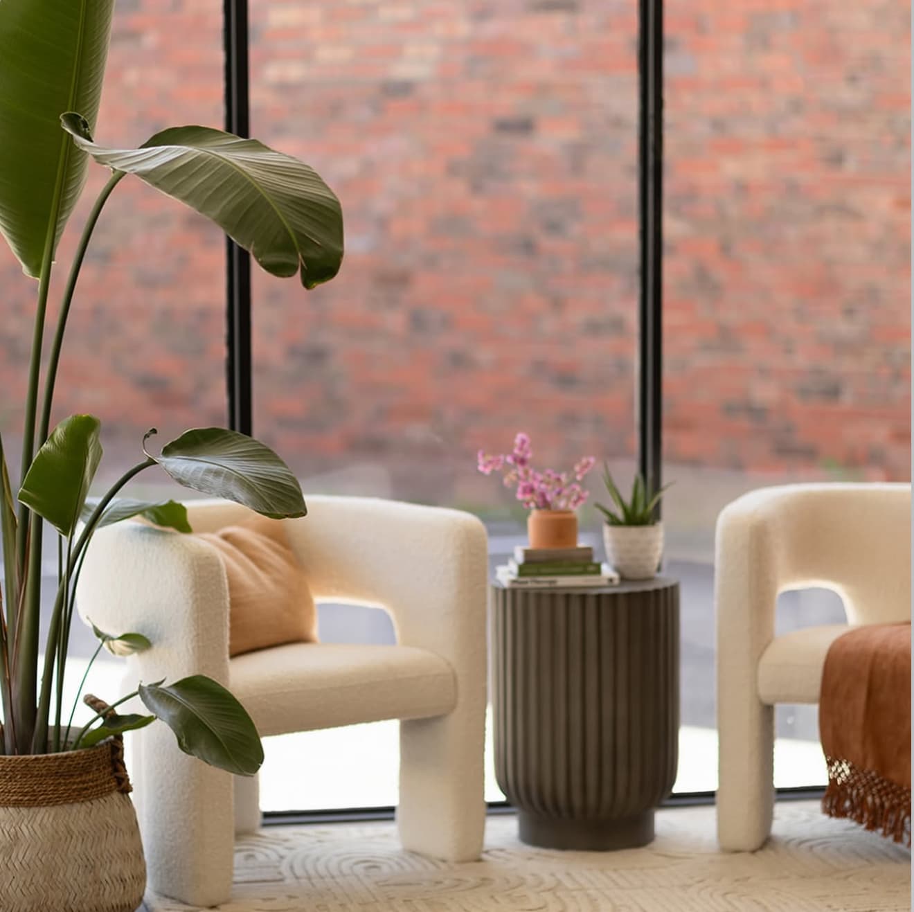 Curjo Hair salon waiting area with natural light, plants, and comfortable seating